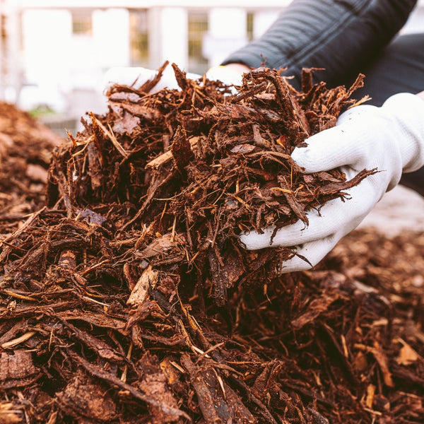 Mulch & Bark
