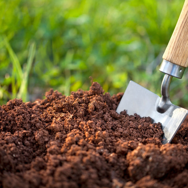 Sand & Soil