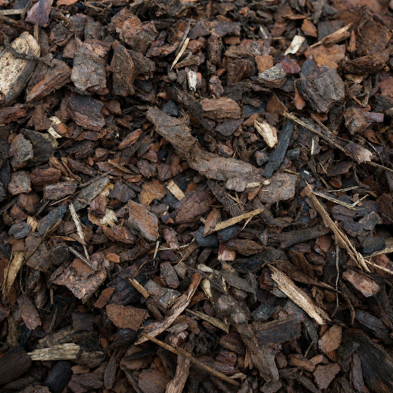 6-10 Pine Bark