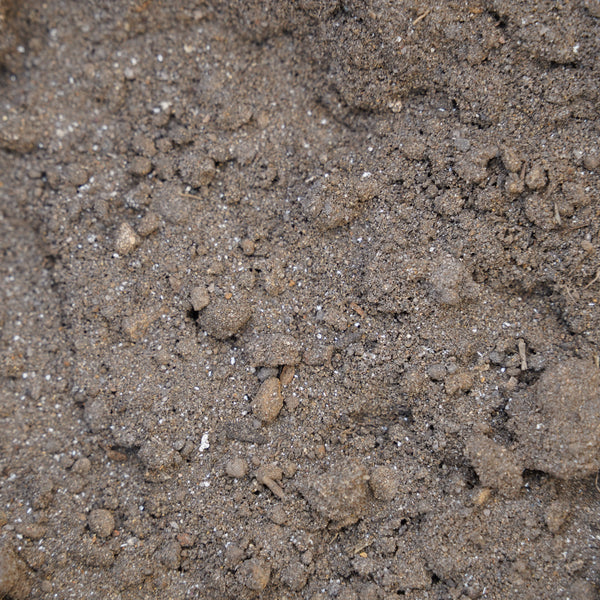 Turf Mix
