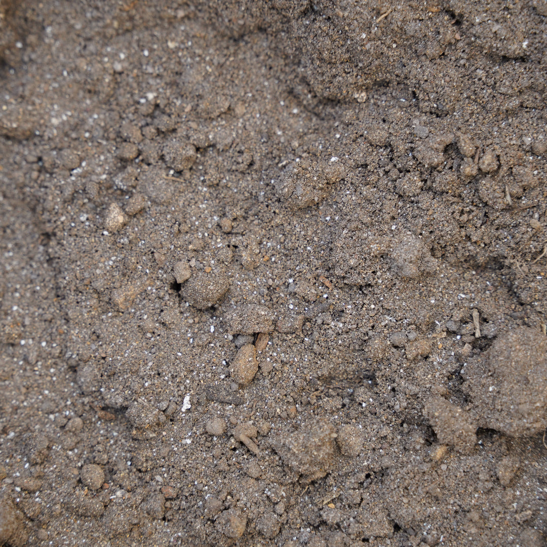 Turf Mix