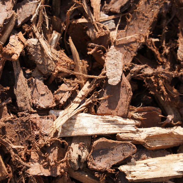 Graded Pine Bark