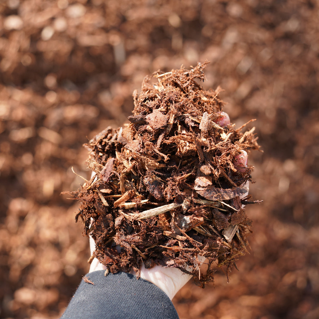 Cottage Bark