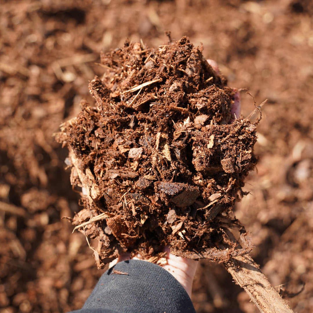 Fine Pine Mulch