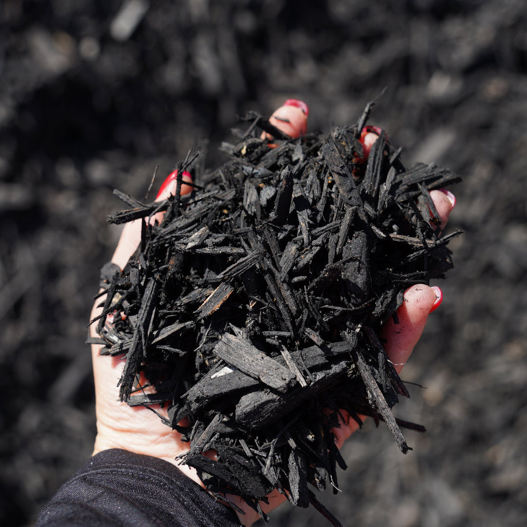 Black Dyed Mulch