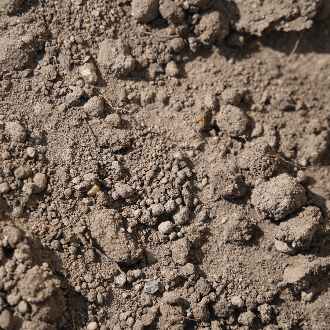 Loam / Top Soil