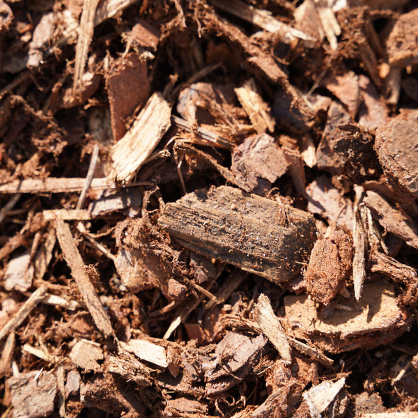 Cottage Bark
