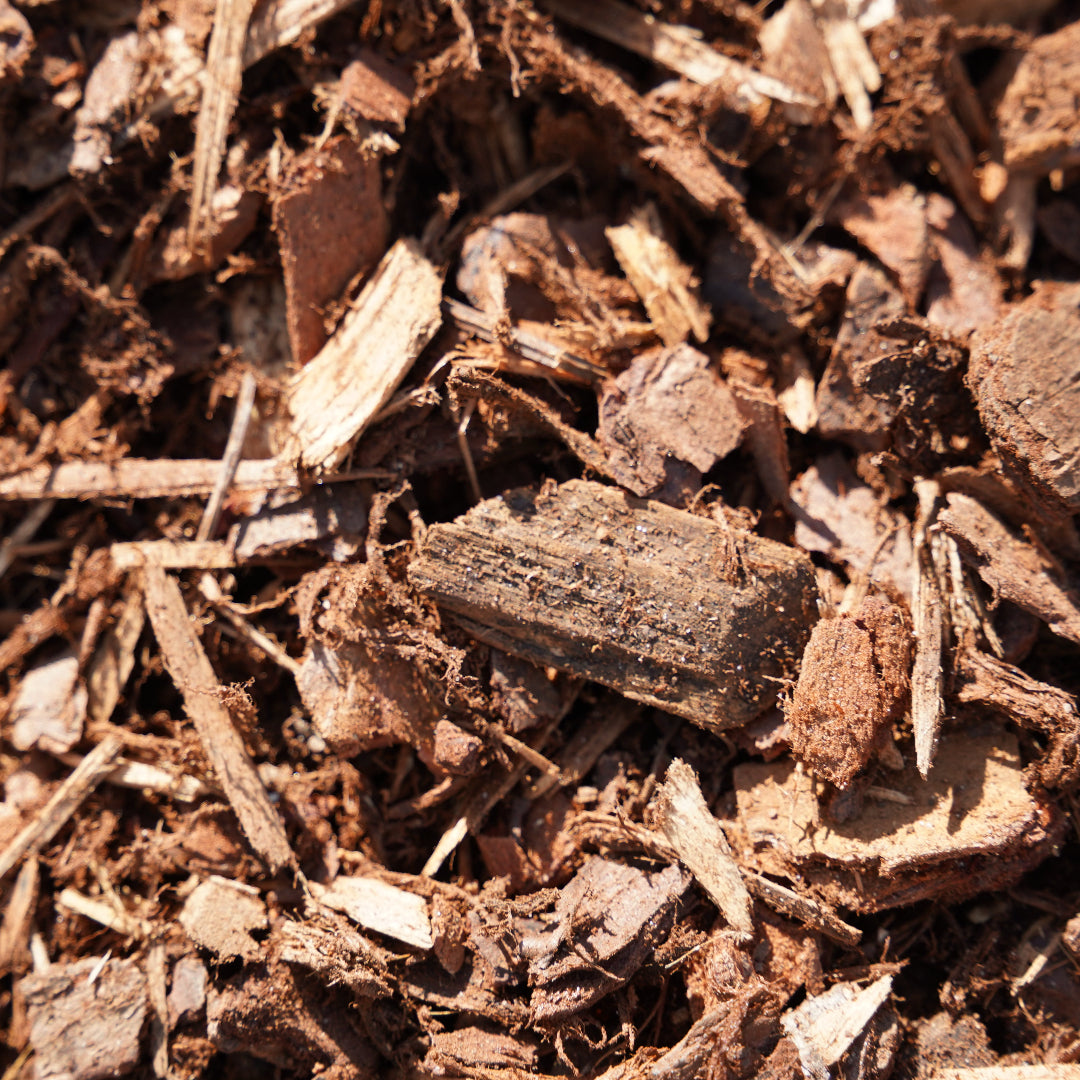 Cottage Bark