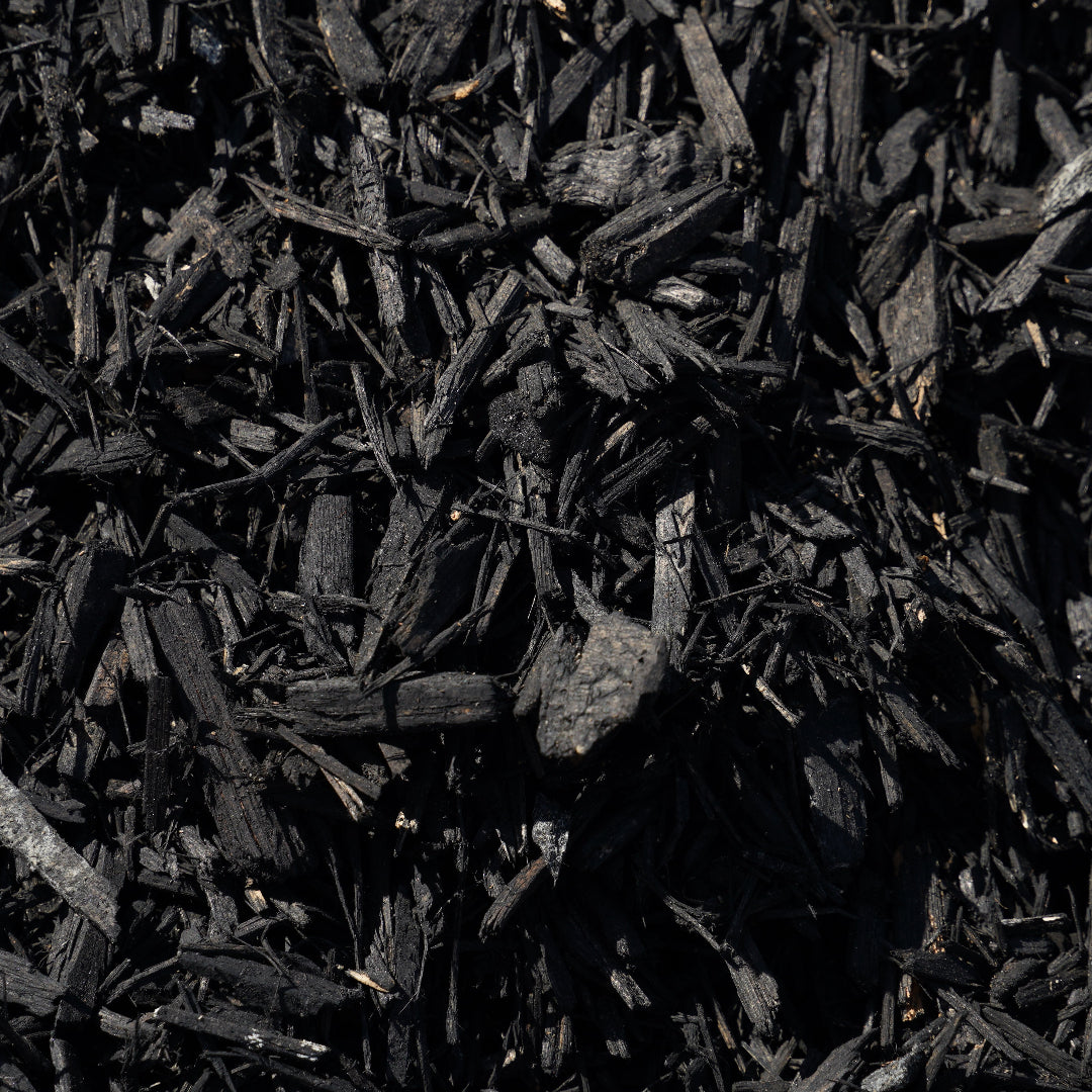 Black Dyed Mulch