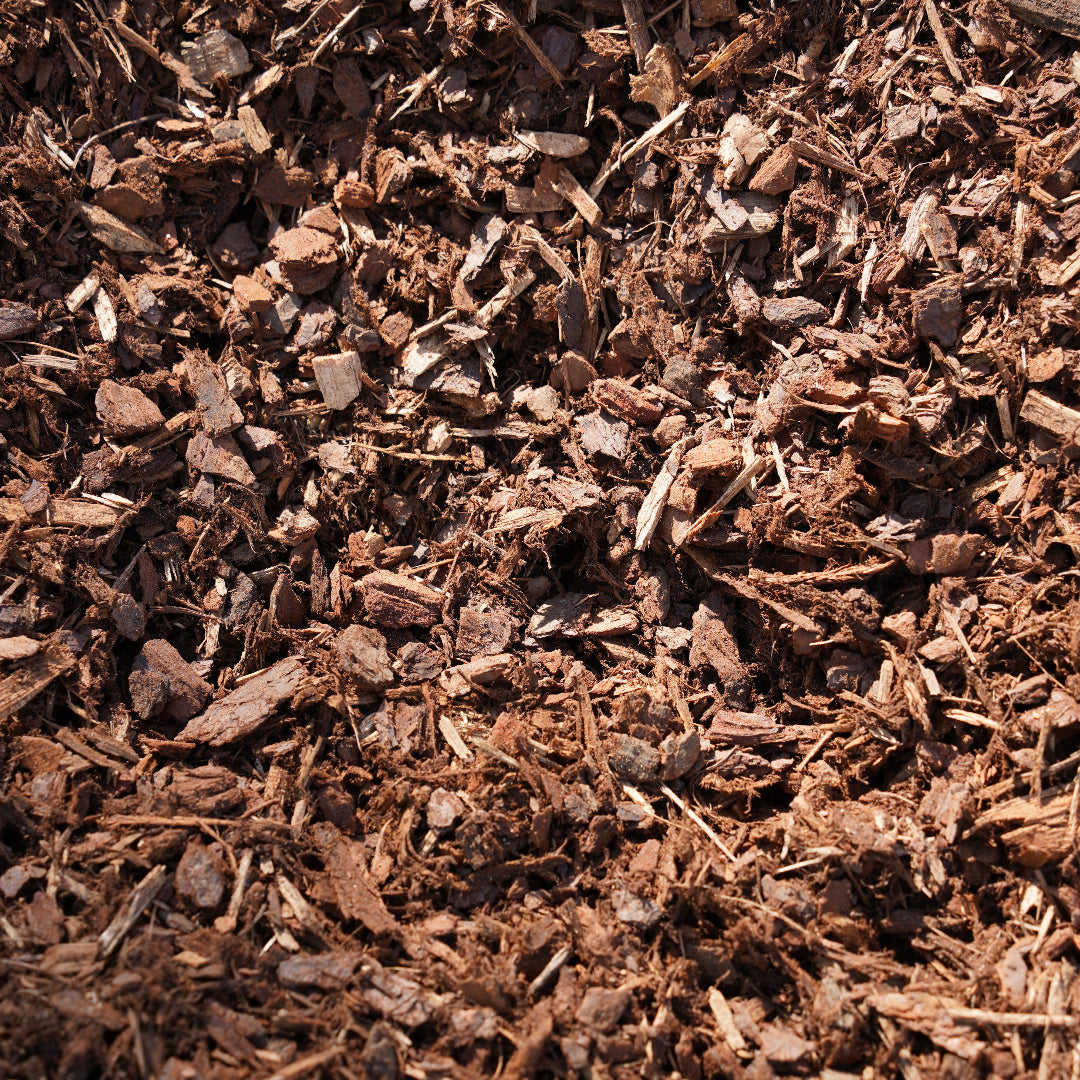 Cottage Bark