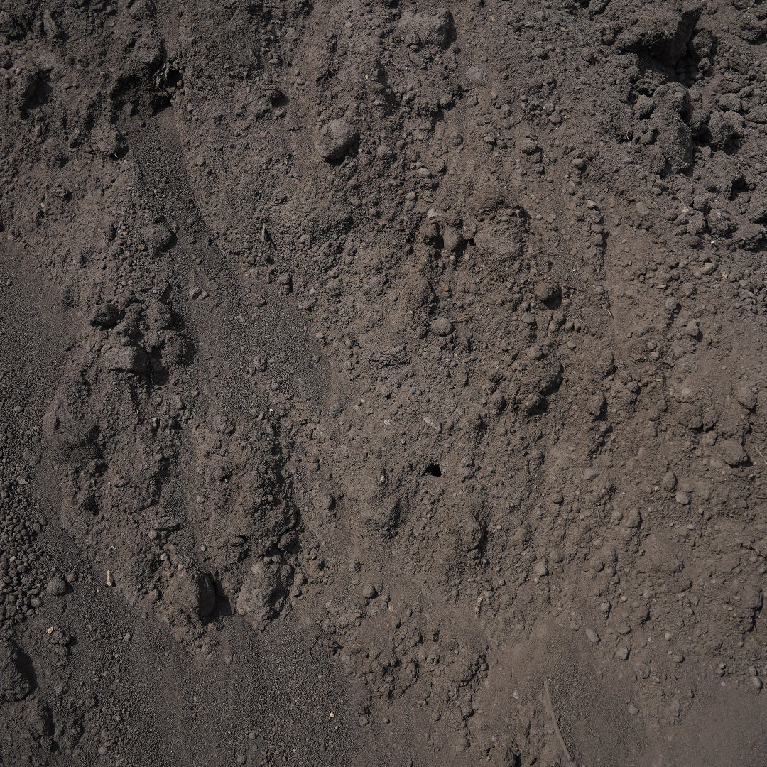 Loam / Top Soil