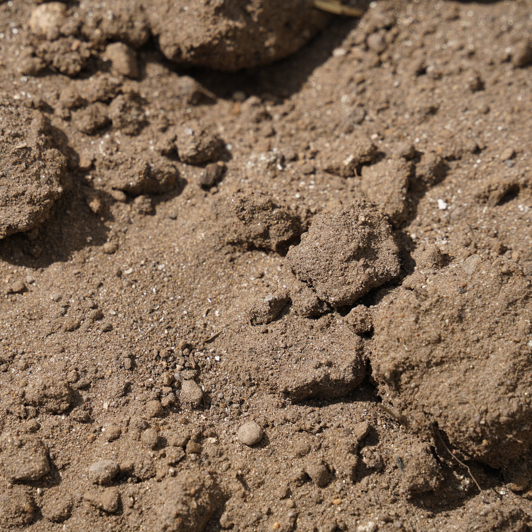 Turf Mix
