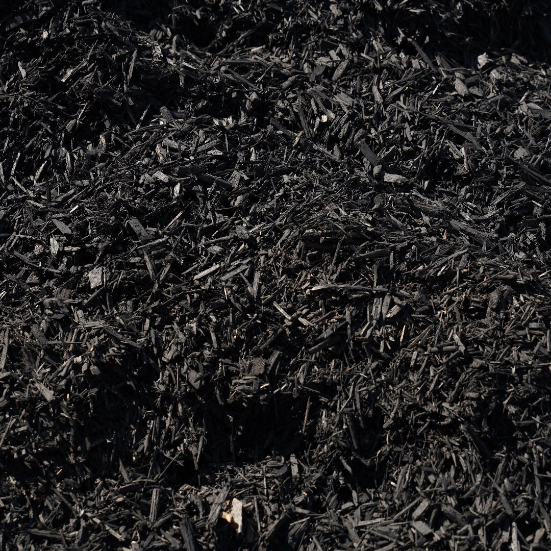 Black Dyed Mulch
