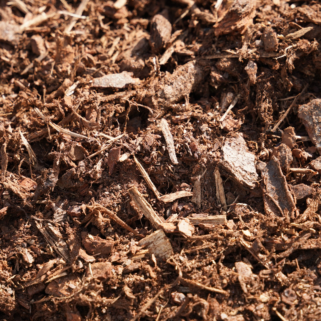 Fine Pine Mulch