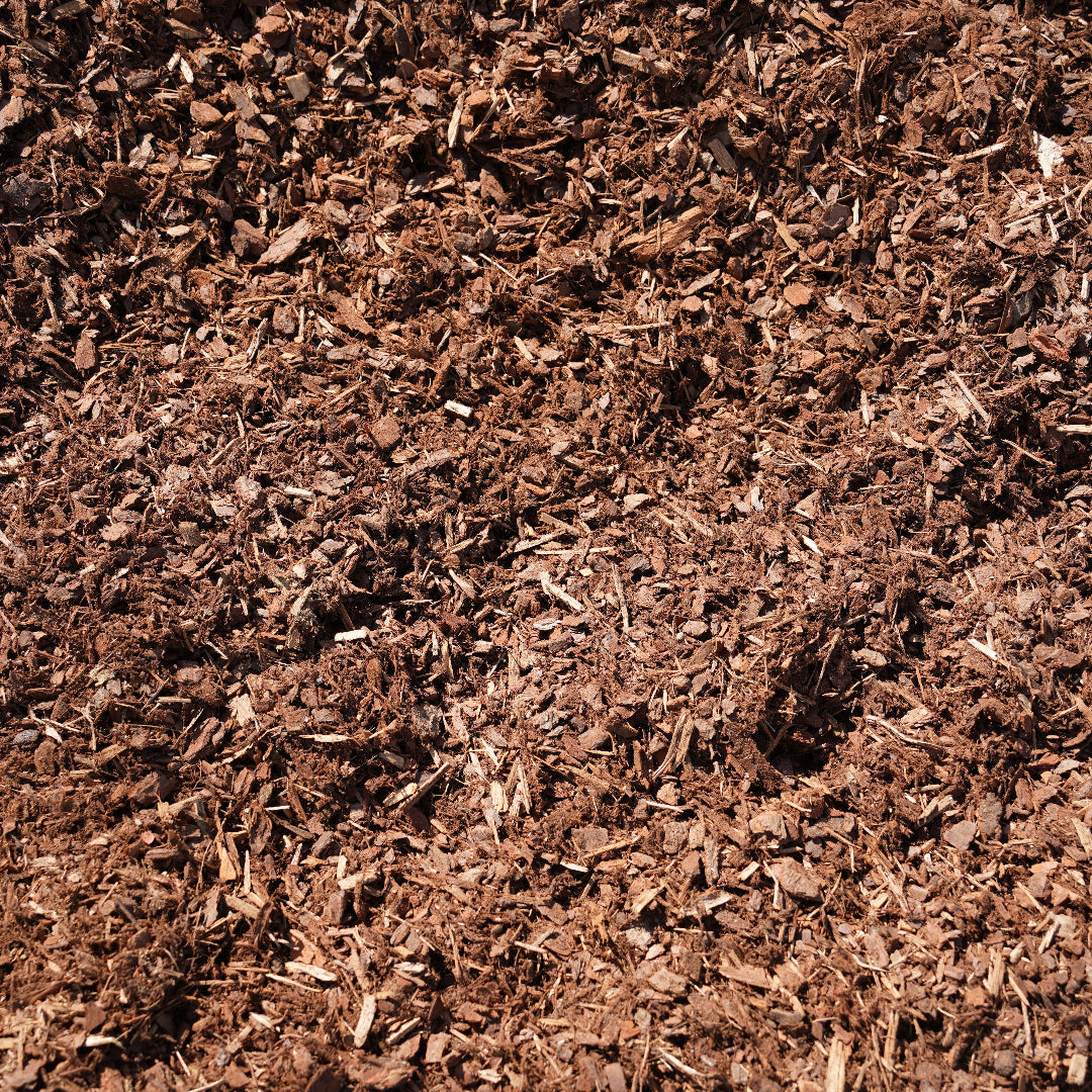 Cottage Bark