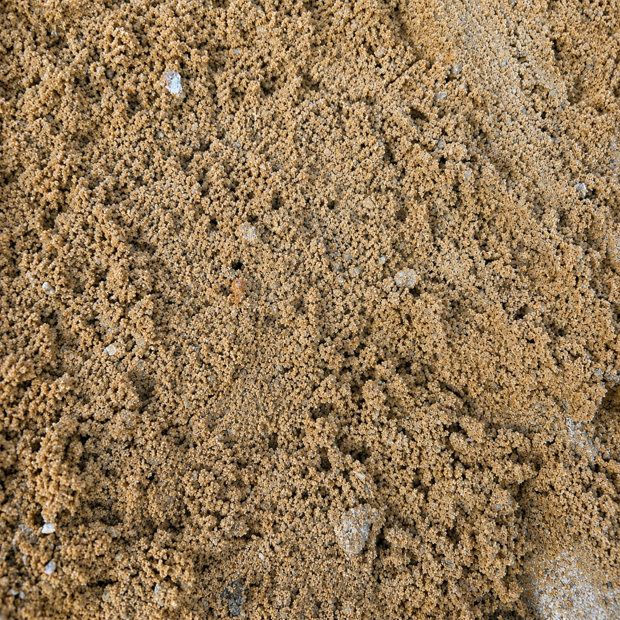 Packing Sand