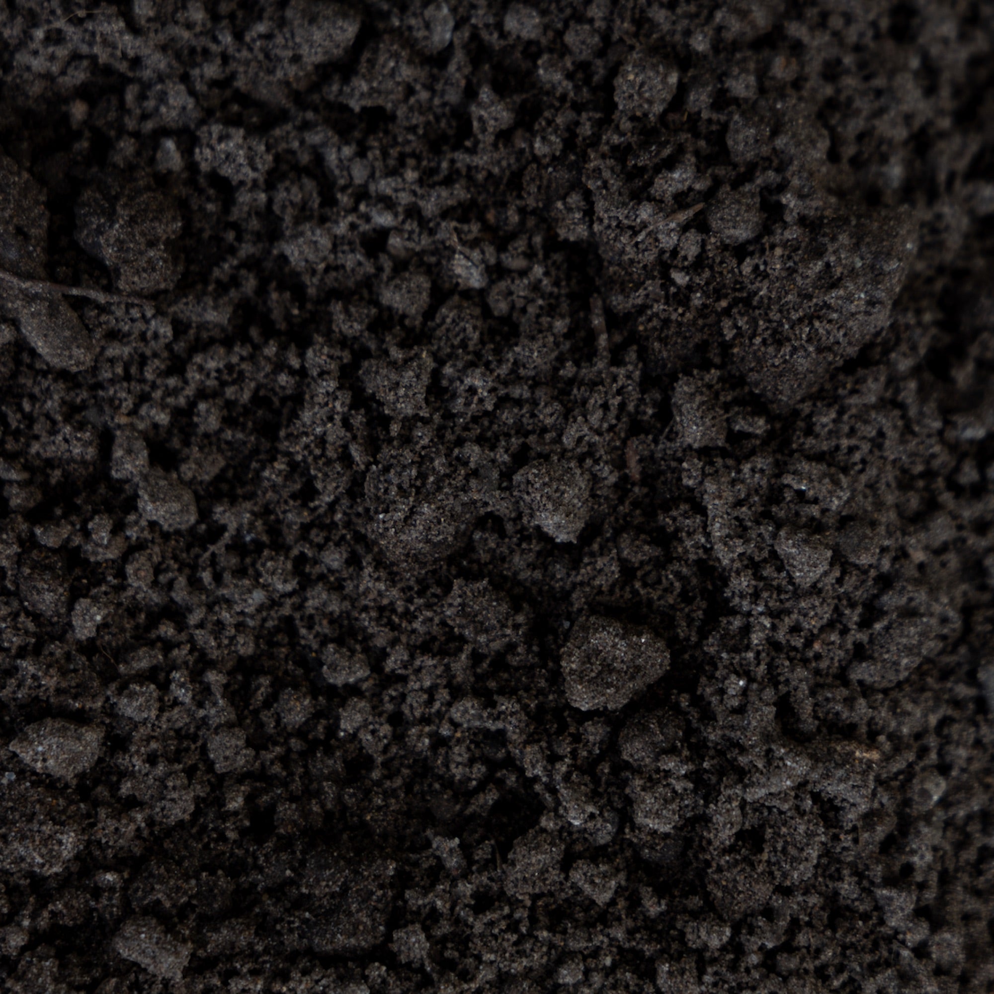 Budget Soil