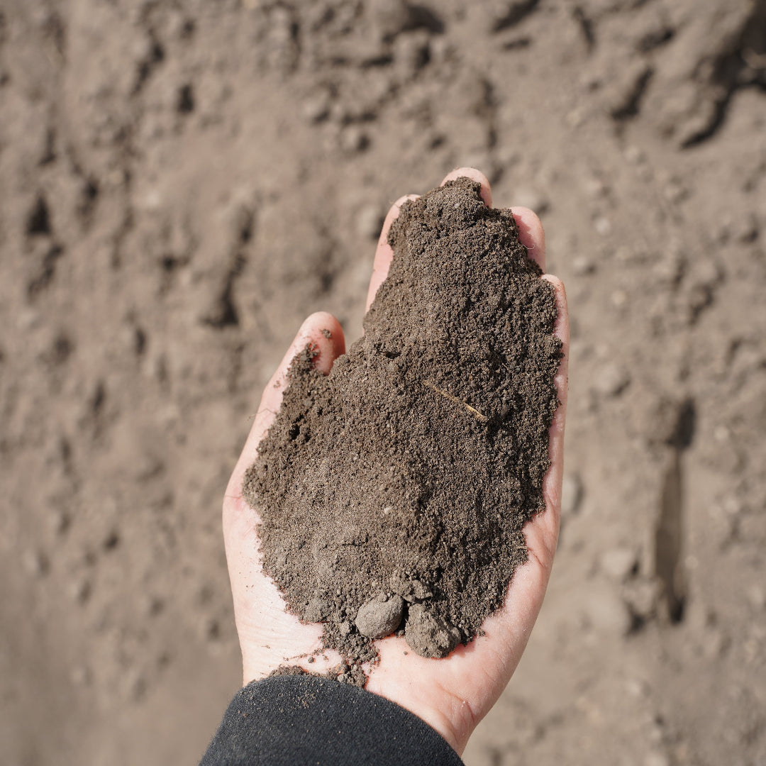 Loam / Top Soil