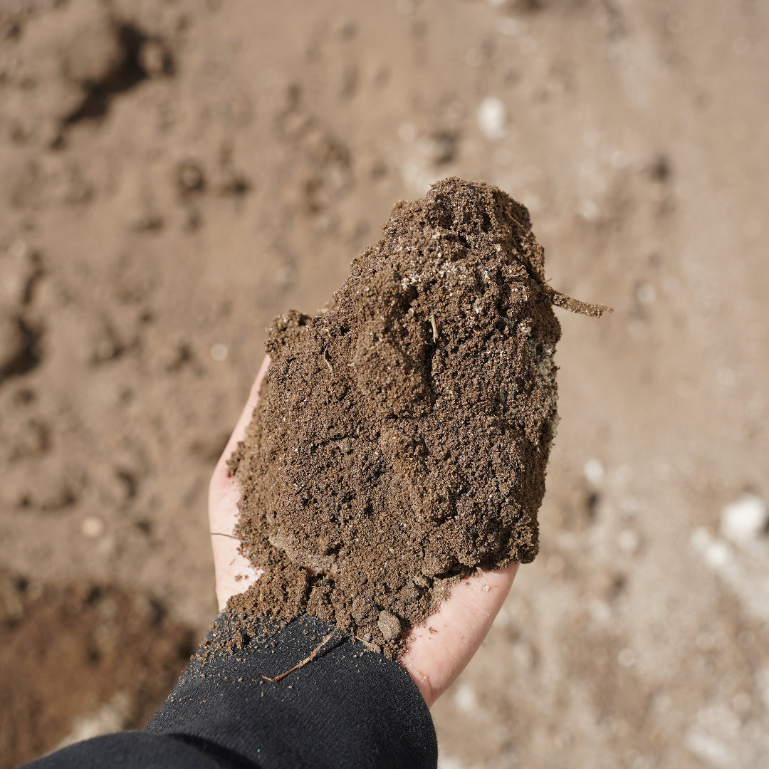 Turf Mix