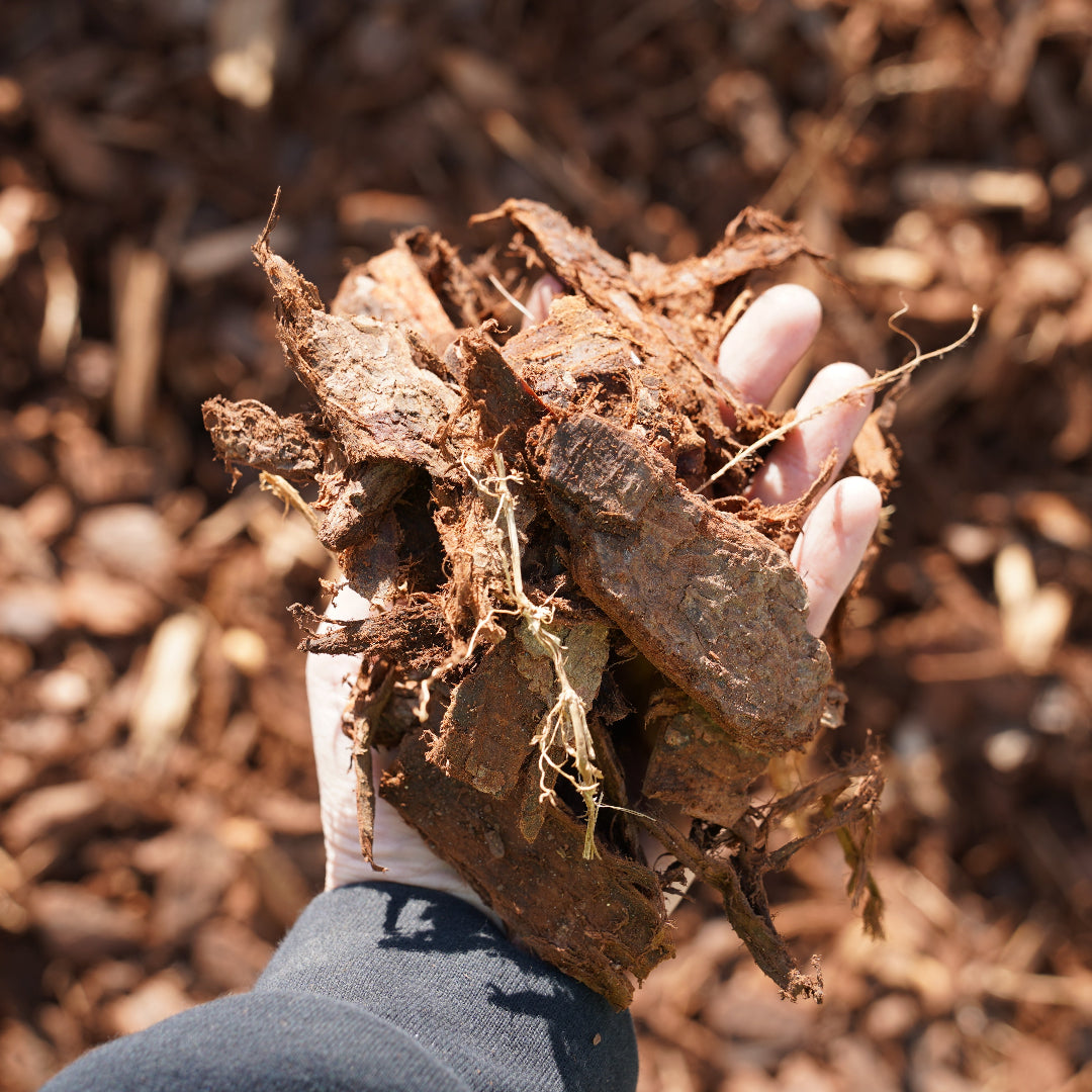 Graded Pine Bark