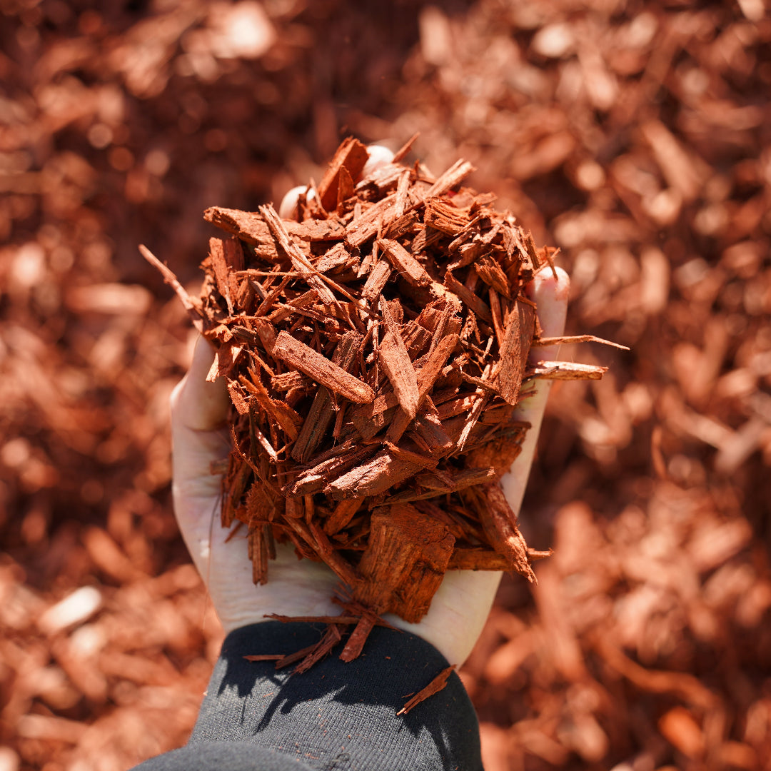 Red Dyed Mulch