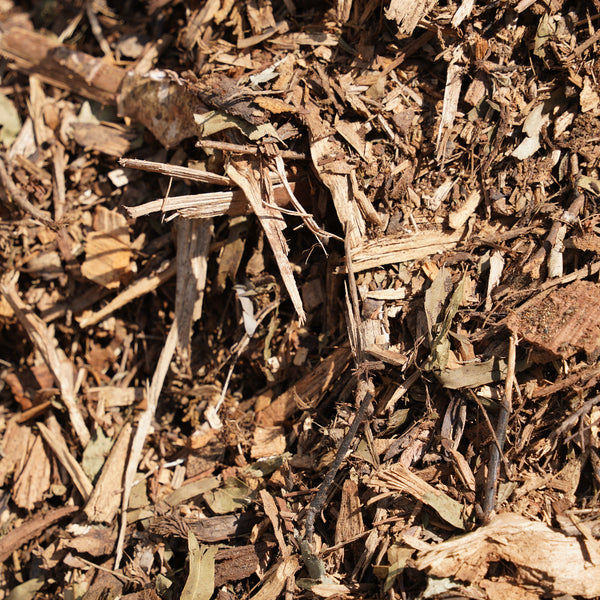 Leaf Mulch