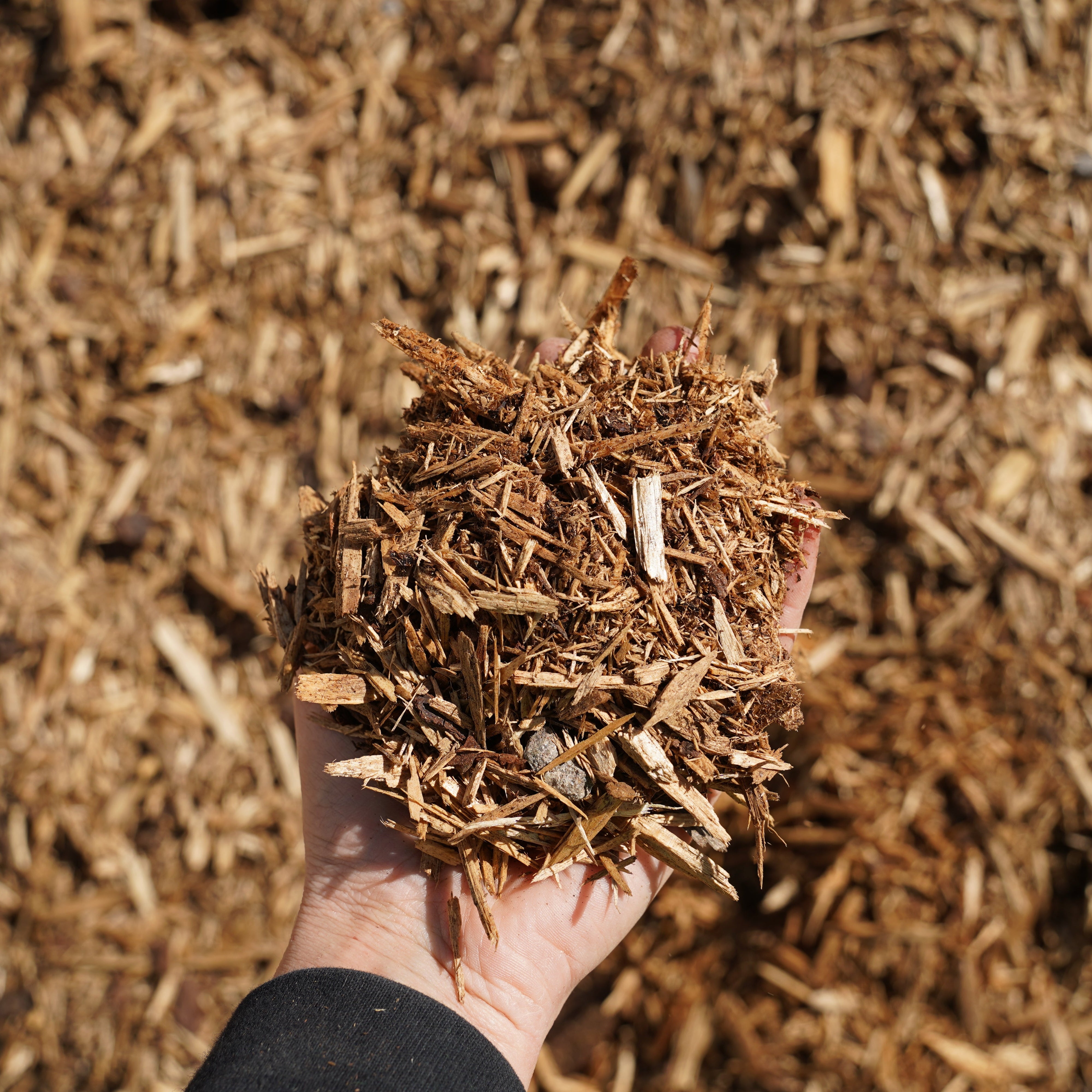 Forest Fines Mulch