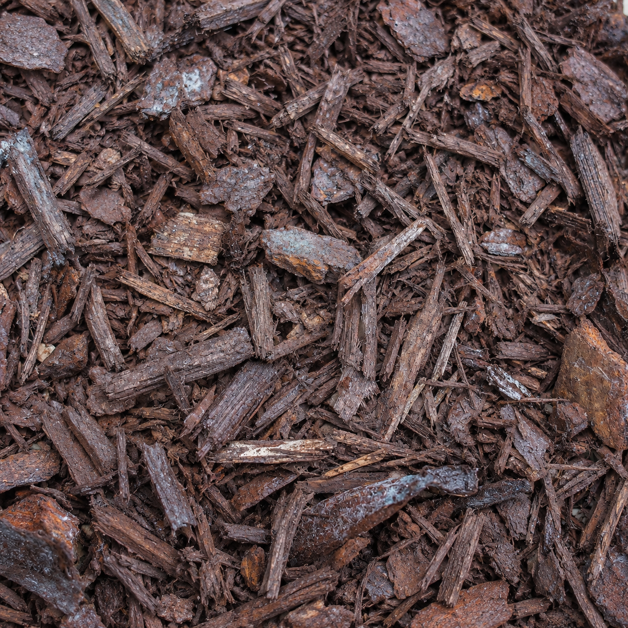 Blended Bark