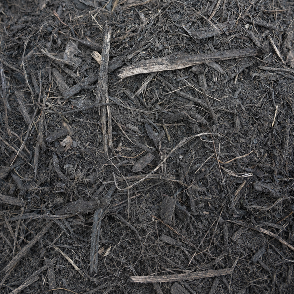 Eucey Mulch