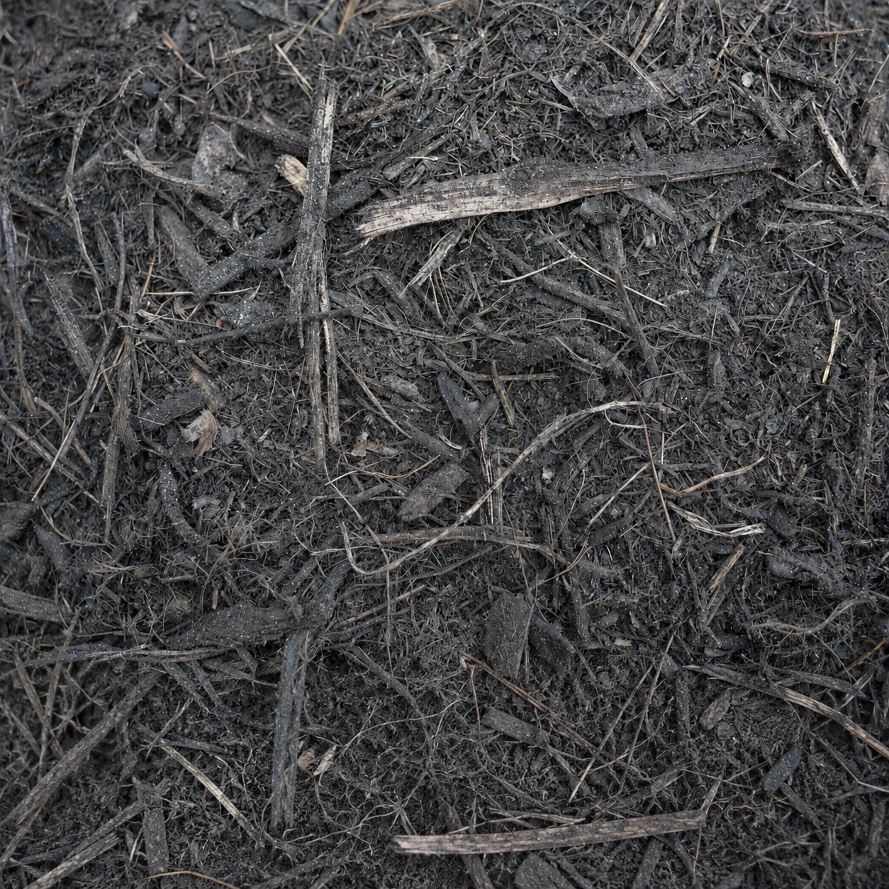 Eucey Mulch